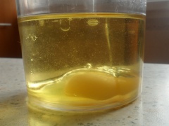 Adding the egg