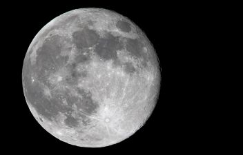 Focal length: 600 mm; shutter speed: 1/1600; aperture f/6.3; ISO 3200