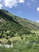 Road to Alamedin Gorge
