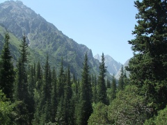Ates, dense vegetation and high mountains