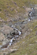 Stream