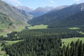 Panoramic view of the local gorge (Djety-Oguz)
