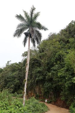 On the way to the waterfall