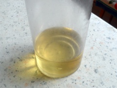 Vegetable oil in the container