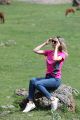 Focal length: 300mm; Shutter speed: 1/500; Aperture: f8; ISO: 320