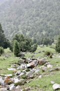 Nature of the gorge