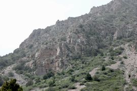 Upper part of the valley